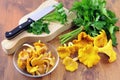 Golden chanterelle mushrooms and fresh parsley ingredients to co Royalty Free Stock Photo