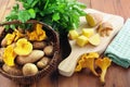 Golden chanterelle mushrooms and fresh parsley ingredients to co Royalty Free Stock Photo