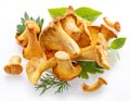 Golden chanterelle mushrooms isolated on white background