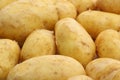 Golden Charlotte Potatoes Royalty Free Stock Photo