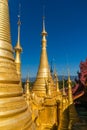 Golden chedis in front of blue sky