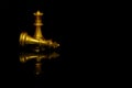 Golden chess pieces king and queen isolated on black background