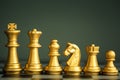 Golden Chess Team
