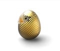 Chick and cracked golden egg Royalty Free Stock Photo