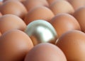 Golden chicken egg: outstanding and different Royalty Free Stock Photo