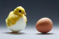 Golden chicken hatching from egg next to shell. Royalty Free Stock Photo