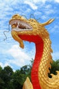 Golden china dragon Royalty Free Stock Photo