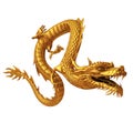 Golden Chinese dragon front Royalty Free Stock Photo