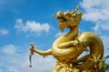 Golden Chinese dragon statue on blue sky background in Phuket To Royalty Free Stock Photo