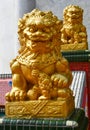 Golden Chinese Guardian Lion Decoration