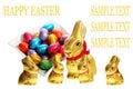 Golden chocolate Easter bunnies