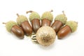 Golden christmas ball and acorns Royalty Free Stock Photo