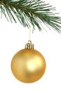 Golden christmas ball hanging from Christmas tree Royalty Free Stock Photo