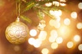 Golden Christmas ball on a live branch of a fir tree with Golden lights of garlands in defocus. New year, Christmas, holiday Royalty Free Stock Photo