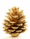 Golden Christmas fir-cone Royalty Free Stock Photo