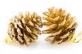 Golden Christmas fir-cone. Royalty Free Stock Photo