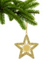 Golden Christmas star on green tree branch isolated on white Royalty Free Stock Photo