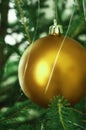 Golden Christmas tree ball Royalty Free Stock Photo