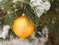 Golden Christmas tree ball on a snow-covered tree branch Royalty Free Stock Photo