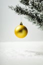 Golden Christmas tree toy ball on artificial fir tree with snow on white background. A minimalistic new year. Royalty Free Stock Photo