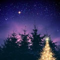 Golden Christmas tree in winter forest and stars sky.Christmas Card. Royalty Free Stock Photo