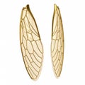 A golden cicada wings, isolated on a white Royalty Free Stock Photo