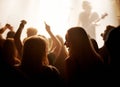 Golden circle - Close to the stage. a large crowd at a musical concert. Royalty Free Stock Photo