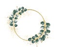 Golden circle frame with leaf vines Sawed eucalyptus leaves on a frame on a white background