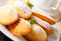 Golden classic Madeleine cookies with sugar powder and coffee ma