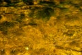 Golden and clear water on mountain river botttom Royalty Free Stock Photo