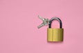 Golden closed lock with keys on a pink background. Copy space. Top View. Royalty Free Stock Photo