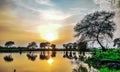 Golden Cloudy Sky of sunset and tree reflection. Royalty Free Stock Photo