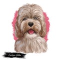 Golden Cockapoo dog digital art illustration of cute canine animal. Mixed-breed dog cross between American Cocker or English