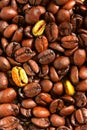 Golden coffee beans Royalty Free Stock Photo