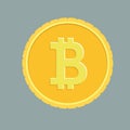 Golden coin with bitcoin sign. Cryptography currency concept. Flat and solid color vector.