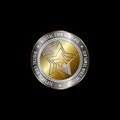 Golden coin template with stars shape. Vector digital currency symbol made of gold and silver metal.