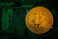 Golden coins with bitcoin symbol on green mainboard circuit background. Cryptocurrency, Money coin digital. Blockchain technology Royalty Free Stock Photo