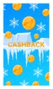 Golden coins falling with snowflakes, icicles, and bold CASHBACK text. Winter cashback concept for financial services