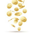 Golden coins falling on white. 3d gold money isolated coins background concept for business Royalty Free Stock Photo