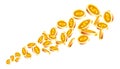 Golden coins fortune, cash finance, money winner. Vector