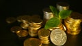 Golden coins and green leaf of sprout on black background. Success of finance business, mortgage and banking concepts