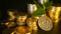 Golden coins and green leaf of sprout on black background. Success of finance business, mortgage and banking concepts