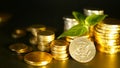 Golden coins and green leaf of sprout on black background. Success of finance business, mortgage and banking concepts