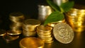 Golden coins and green leaf of sprout on black background. Success of finance business, mortgage and banking concepts