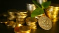 Golden coins and green leaf of sprout on black background. Success of finance business, mortgage and banking concepts