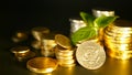 Golden coins and green leaf of sprout on black background. Success of finance business, mortgage and banking concepts