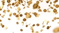 Golden coins rain Royalty Free Stock Photo