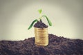 Golden coins in soil with young plant. Money growth concept Royalty Free Stock Photo