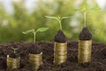 Golden coins in soil with young plant isolated. Money growth Royalty Free Stock Photo