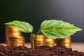 Golden coins in soil with young plant. Money growth concept. Royalty Free Stock Photo